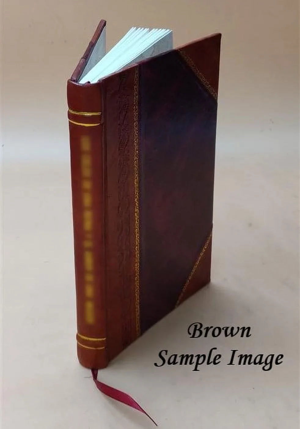 Sizeull'opportunità delle strade ferrate nello Sizetato Pontificio e sui modi per adottarle: riflessioni 1846 [Leather Bound]