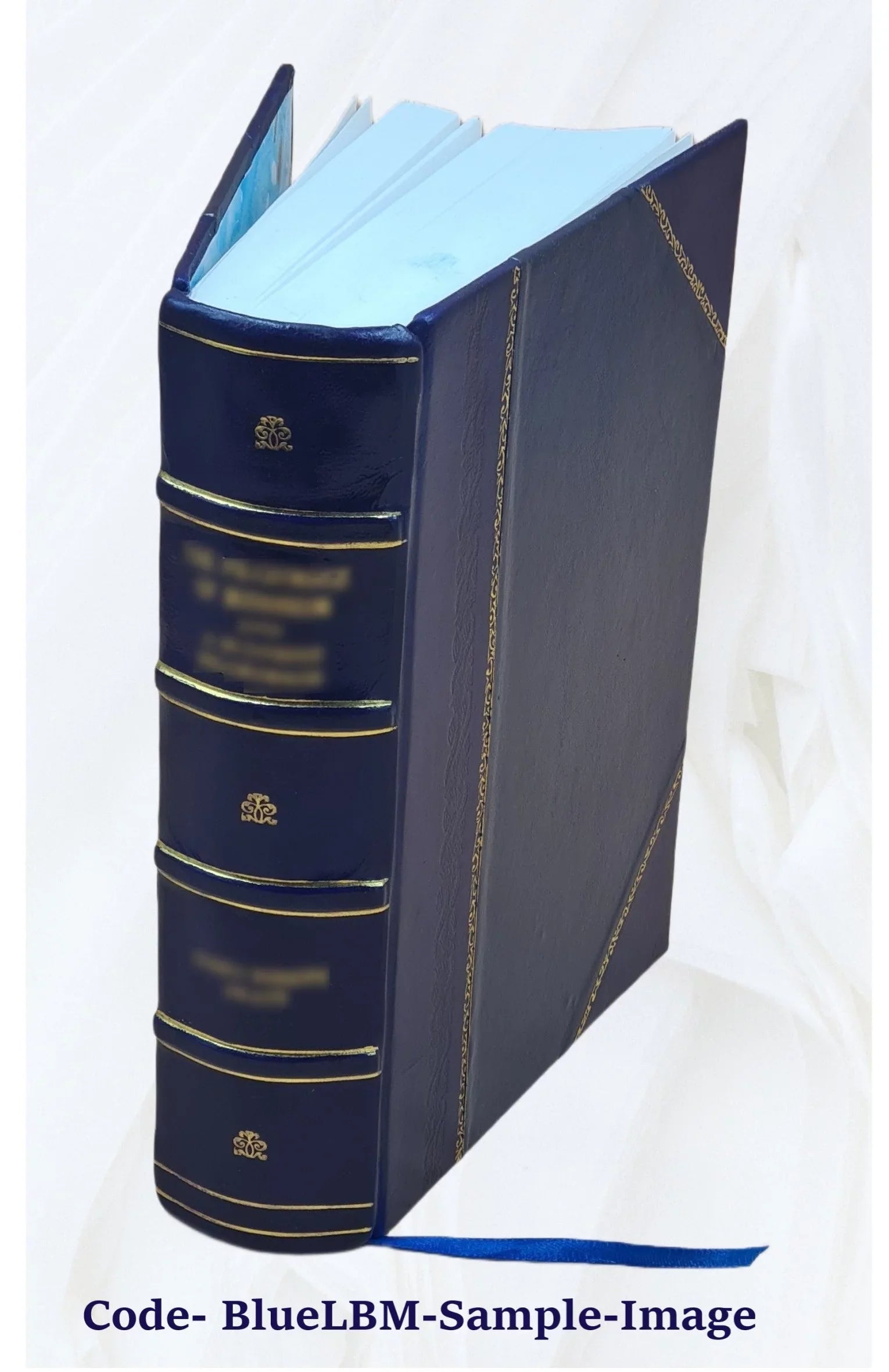 Grenzfragen des Nerven- und Sizeeelenlebens. Volume Bd.7:Heft42-47 (1906) 1906 [Leather Bound]