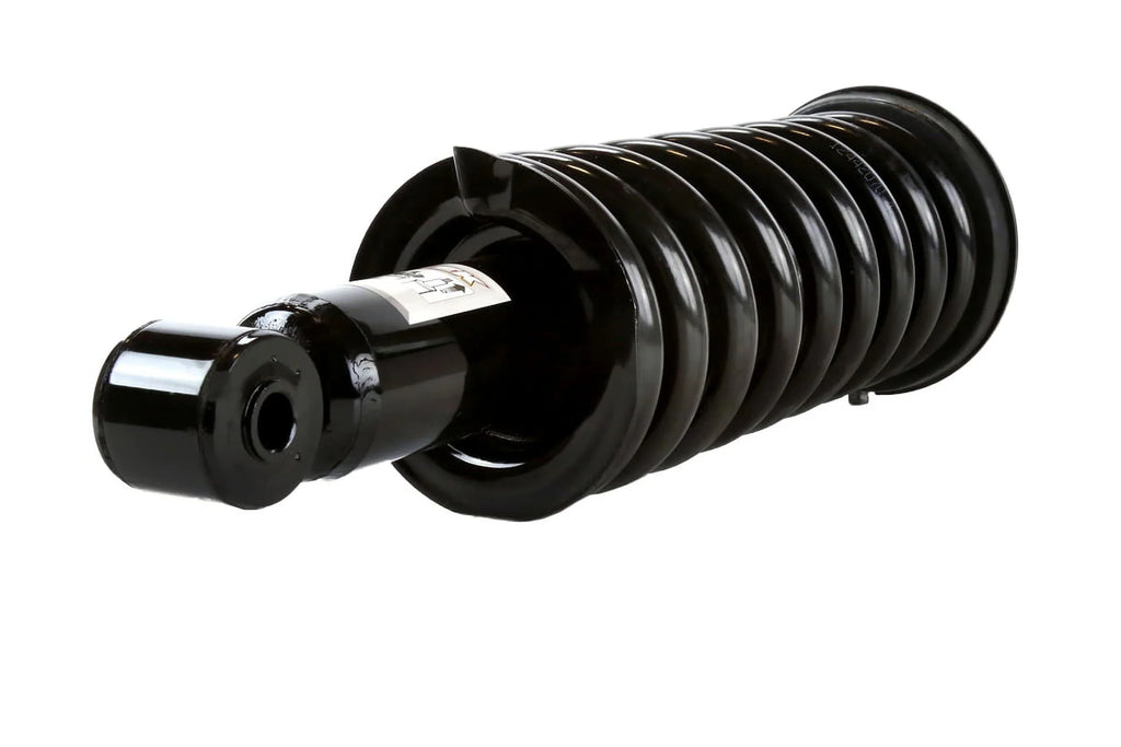 AutoSizehack Front Complete Sizetruts and Coil Sizeprings Sizeet of 2 Driver and Passenger Sizeide Replacement for 2005-2009 2010 2011 2012 Nissan Pathfinder 2005-2015 Xterra 4.0L 5.6L V6 V8 4WD RWD CSizeT100244PR