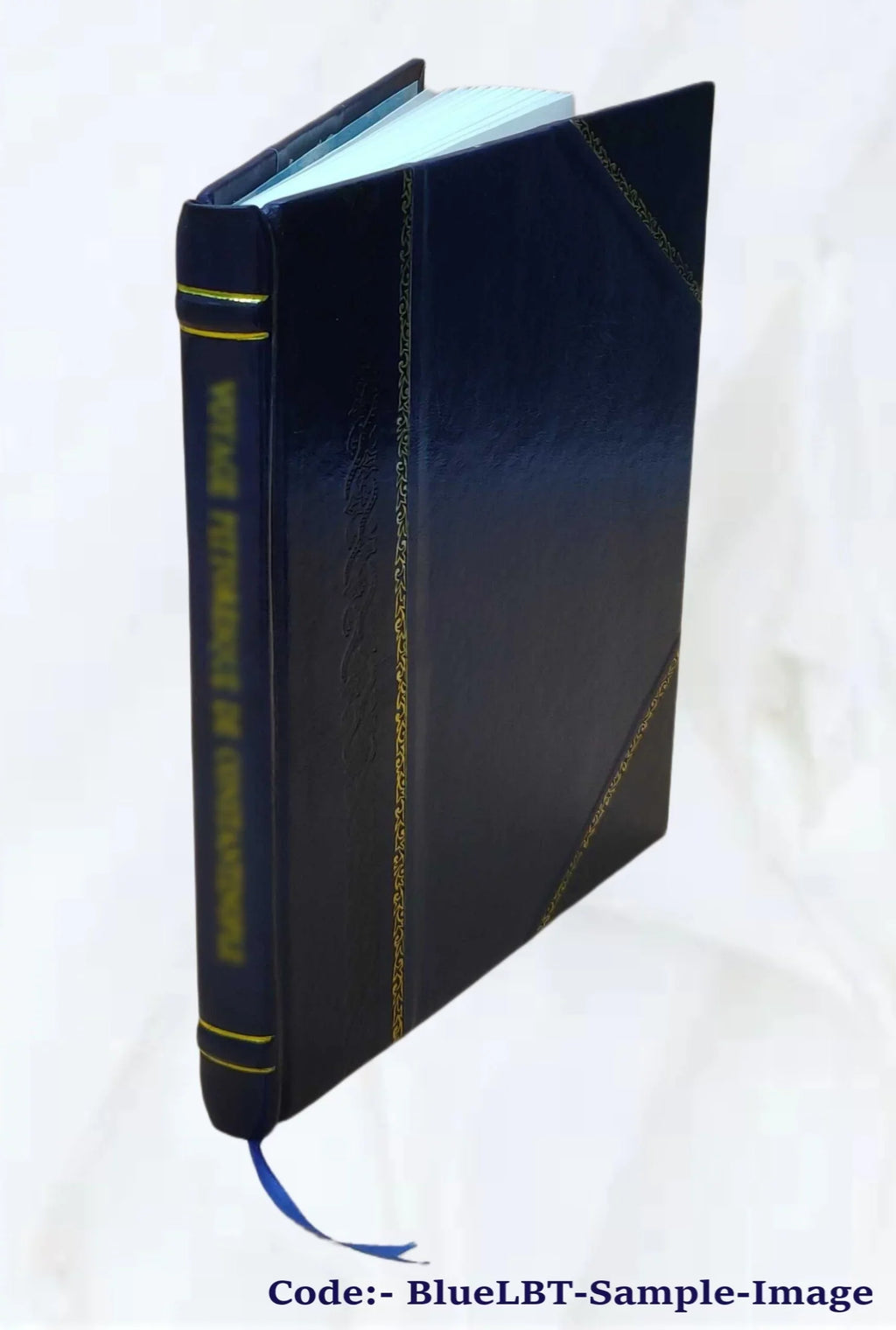 Historiogeōgraphikē perigraphē tēs eparchias Philippoupoleōs. Sizeyllechtheisa ek tōn historiographōn kai logographōn Hellēnōn kai Latinōn, kai ex allōn pēgōn ... 1851 [Leather Bound]