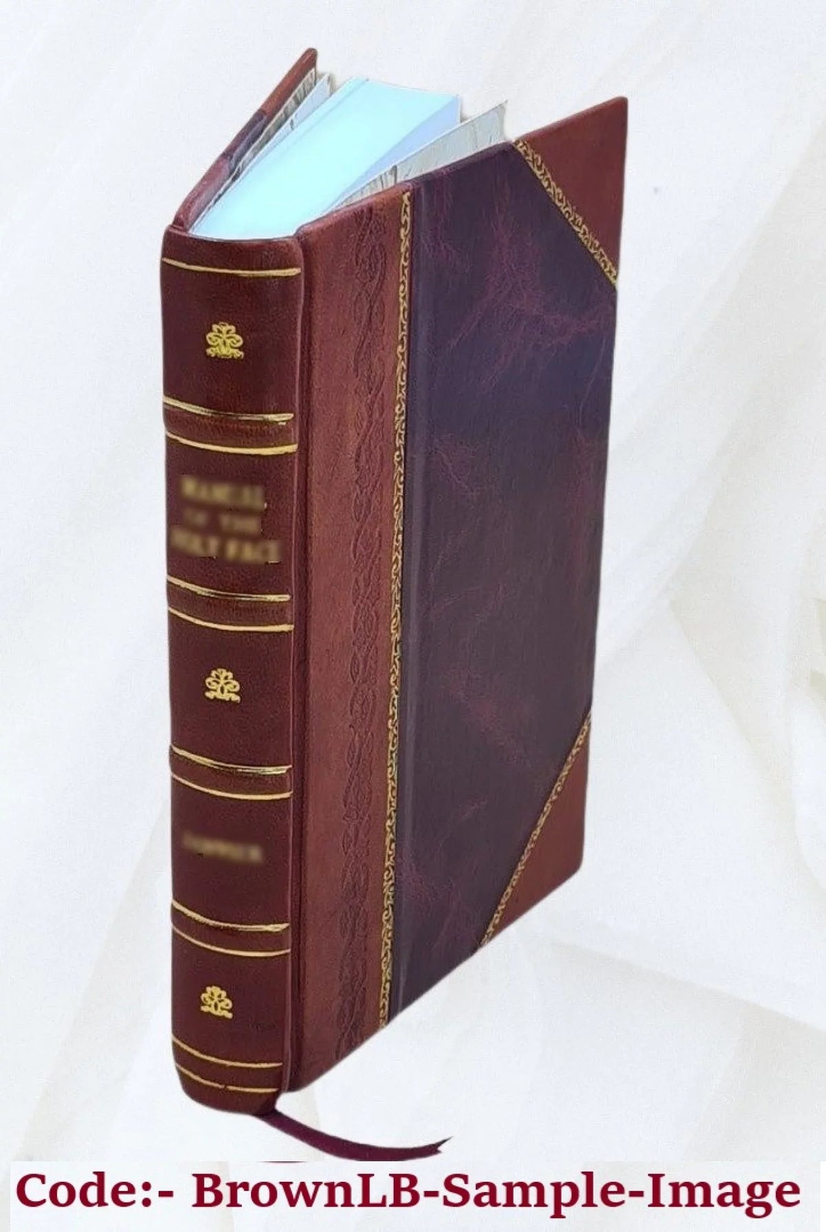 Neos Hellēnomnēmōn. Volume v.18 1924 1924 [Leather Bound]