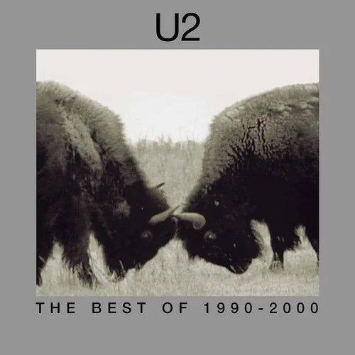 U2 - The Best Of 1990-2000 - Pop Rock - Vinyl