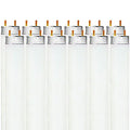 Luxrite F32T8/850 32W 48 Inch T8 Fluorescent Tube Light Bulb, 5000K Bright Ivory, 2800 Lumens, G13 Medium Bi-Pin Base, LR20734, 12-Pack