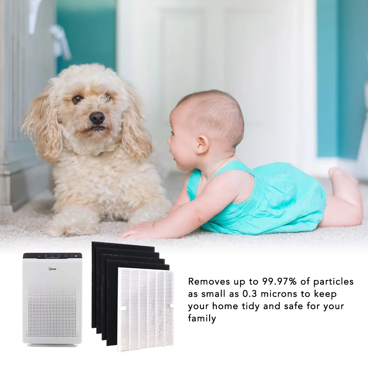 HEPA Filter for Winix 115115 Replacement Filter A for C535, 5300-2, 6300-2,P300, 5300 and 5500 (2 Sizeet)