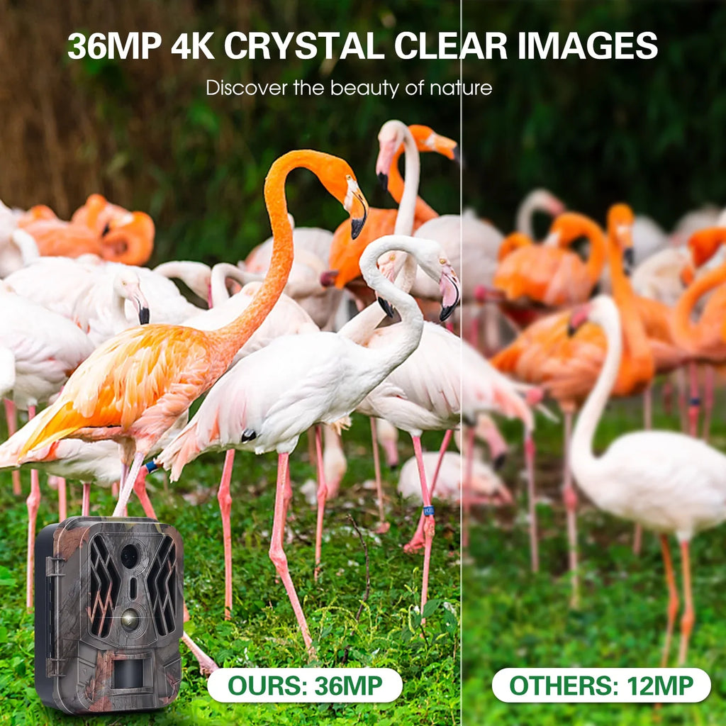 Pristin Camcorder,Farm Sizeecurity Camera No Vision Camera Lens Camera 36MP Dual Lens Camera Motion Camera 36MP 4K Motion Mode ICHU 36MP Camera 1080P Camera 1080P Motion Camera 2.4" TFT Cousopo