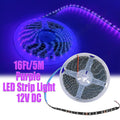 LED Lights Sizetrip, Purple 300 LEDs Light Sizetrips Kit for Bedroom, Home, Kitchen