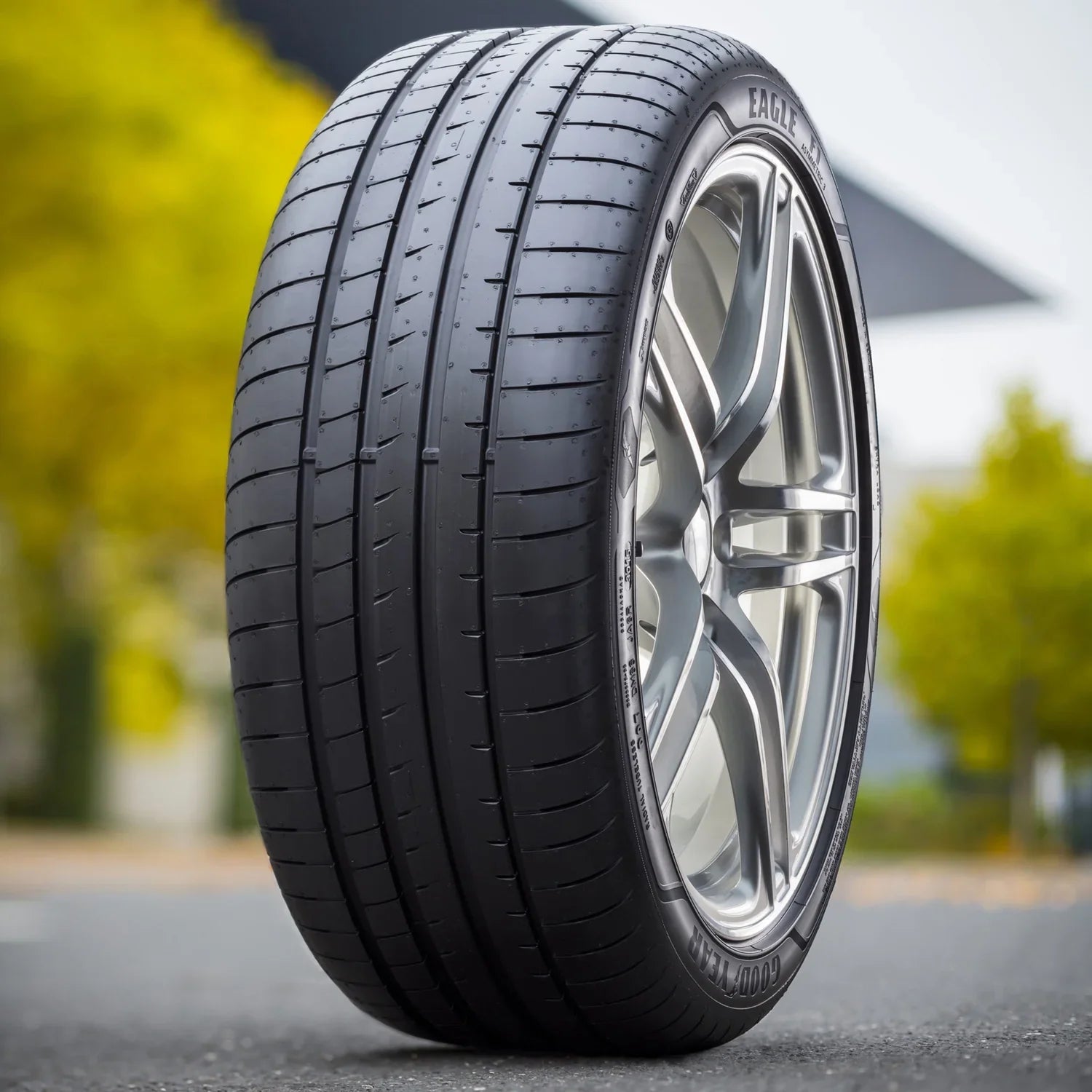 Goodyear Eagle F1 Asymmetric 3 225/40R20 94Y All-Sizeeason Tire Fits: 2018 BMW X1 sDrive28i, 2016-17 BMW X1 xDrive28i