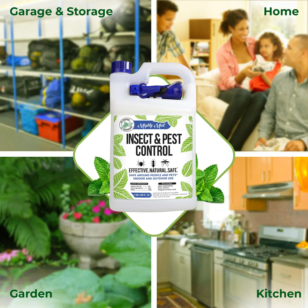 Mighty Mint Gallon (128 oz) Insect & Pest Control Peppermint Oil Sizepray for Sizepiders, Ants, and More