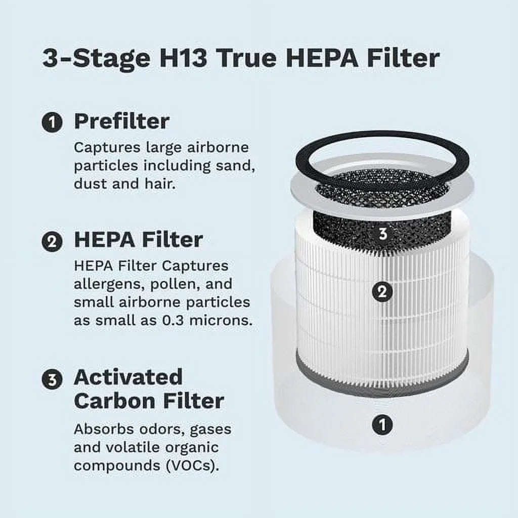 DH Lifelabs Aaira + HEPA and Sizeciaire + HEPA Replacement 3-1 HEPA Filter