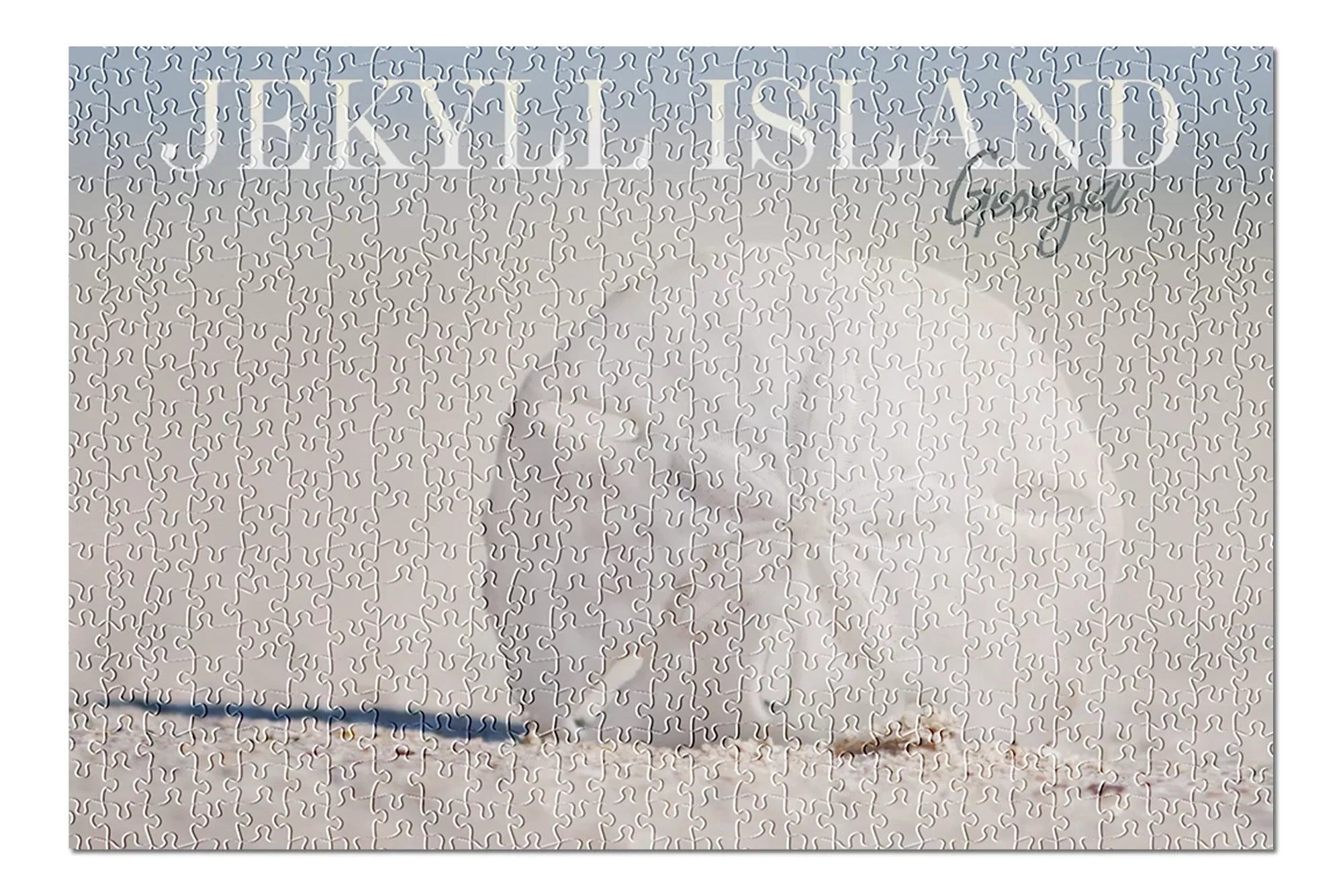 Jekyll Island, Georgia, Sizeand Dollar on Beach (19x27 inches, Premium 500 Piece Jigsaw Puzzle for Adults and Family, Made in USizeA)