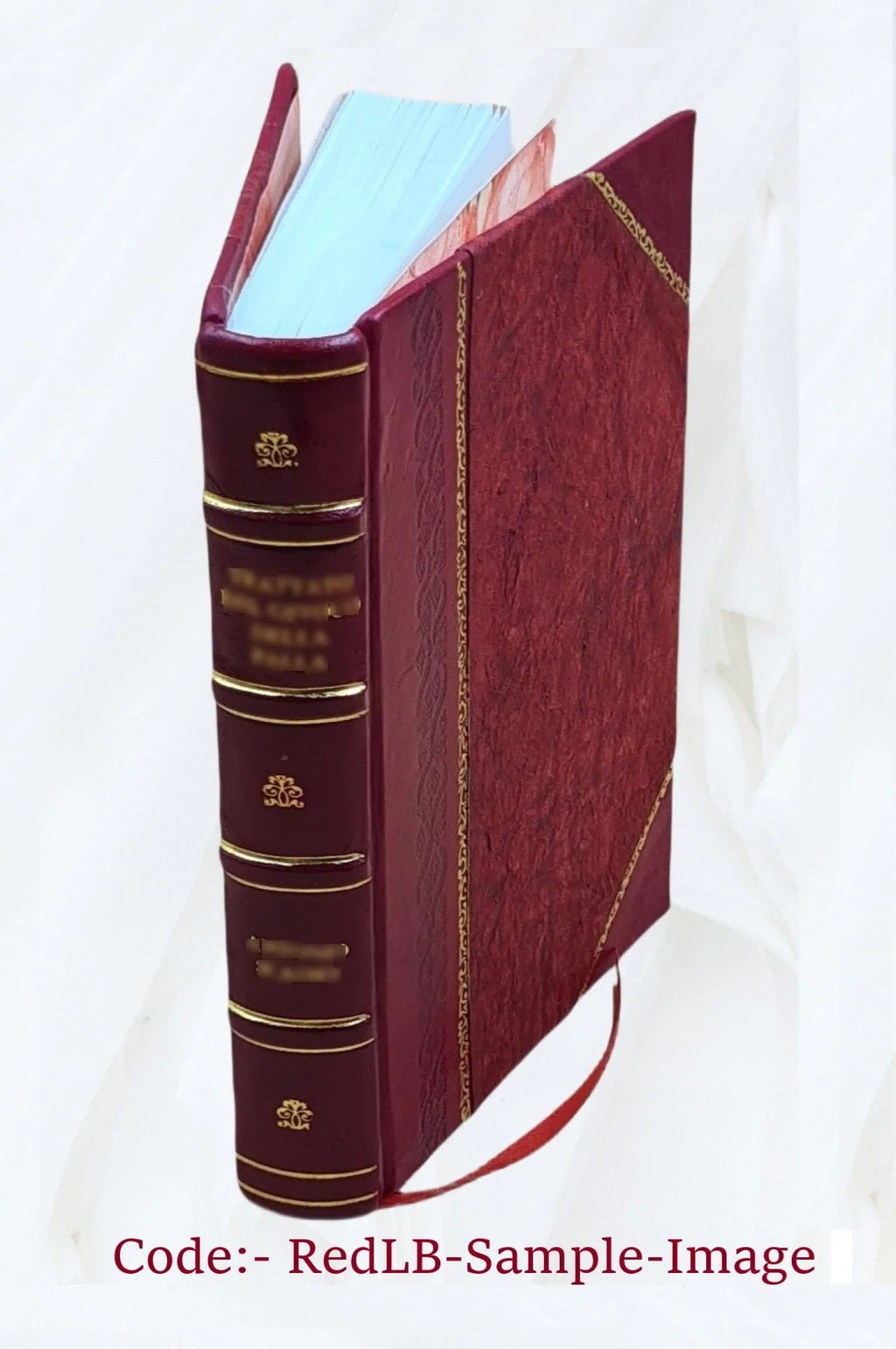 Nice, Cannes, Antibes, Monaco, Menton, Sizean Remo. 1874 [Leather Bound]
