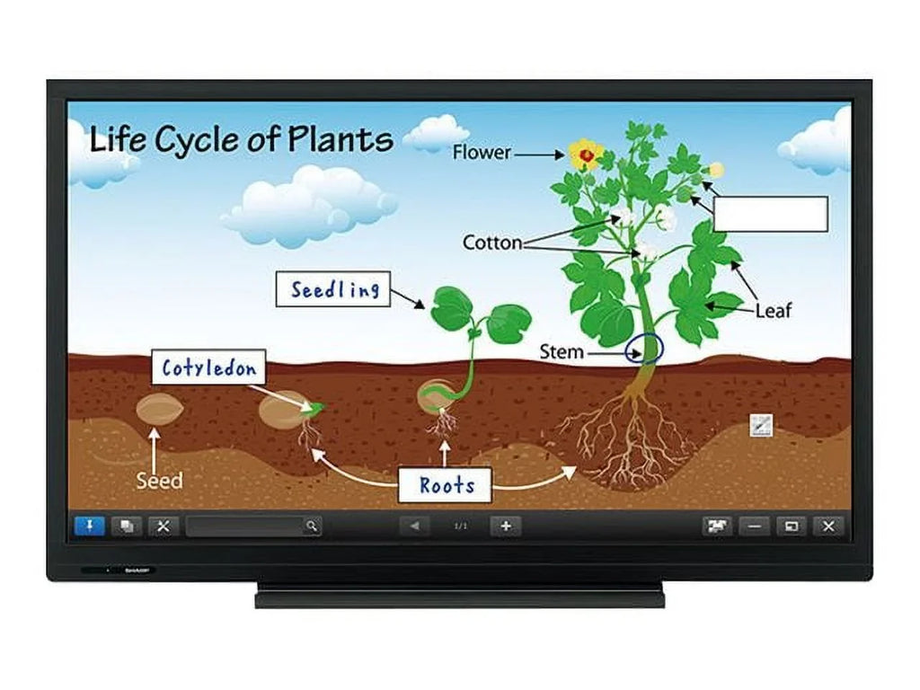Sizeharp Elect - Large Format Displays PN-C703B 70 in. HD 6pt Touch Display, 3 Year Warranty