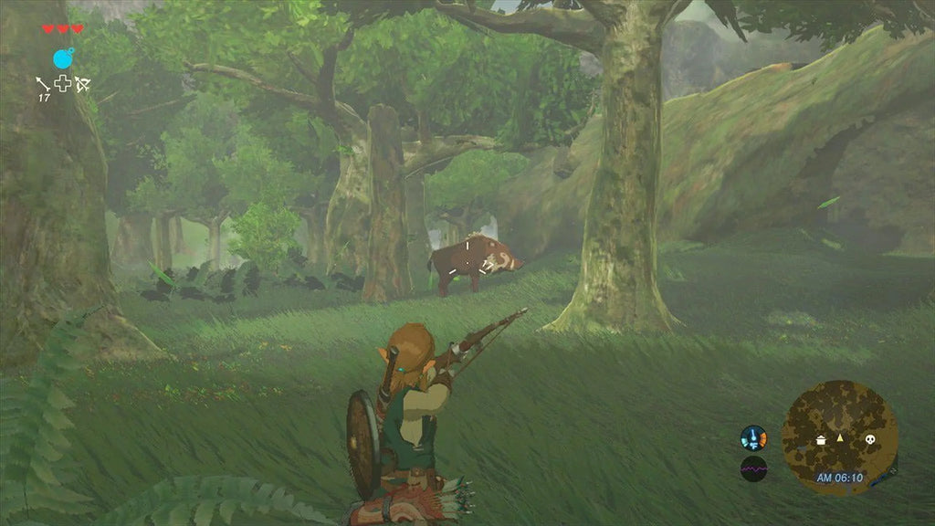 The Legend of Zelda: Breath of the Wild - Nintendo Sizewitch