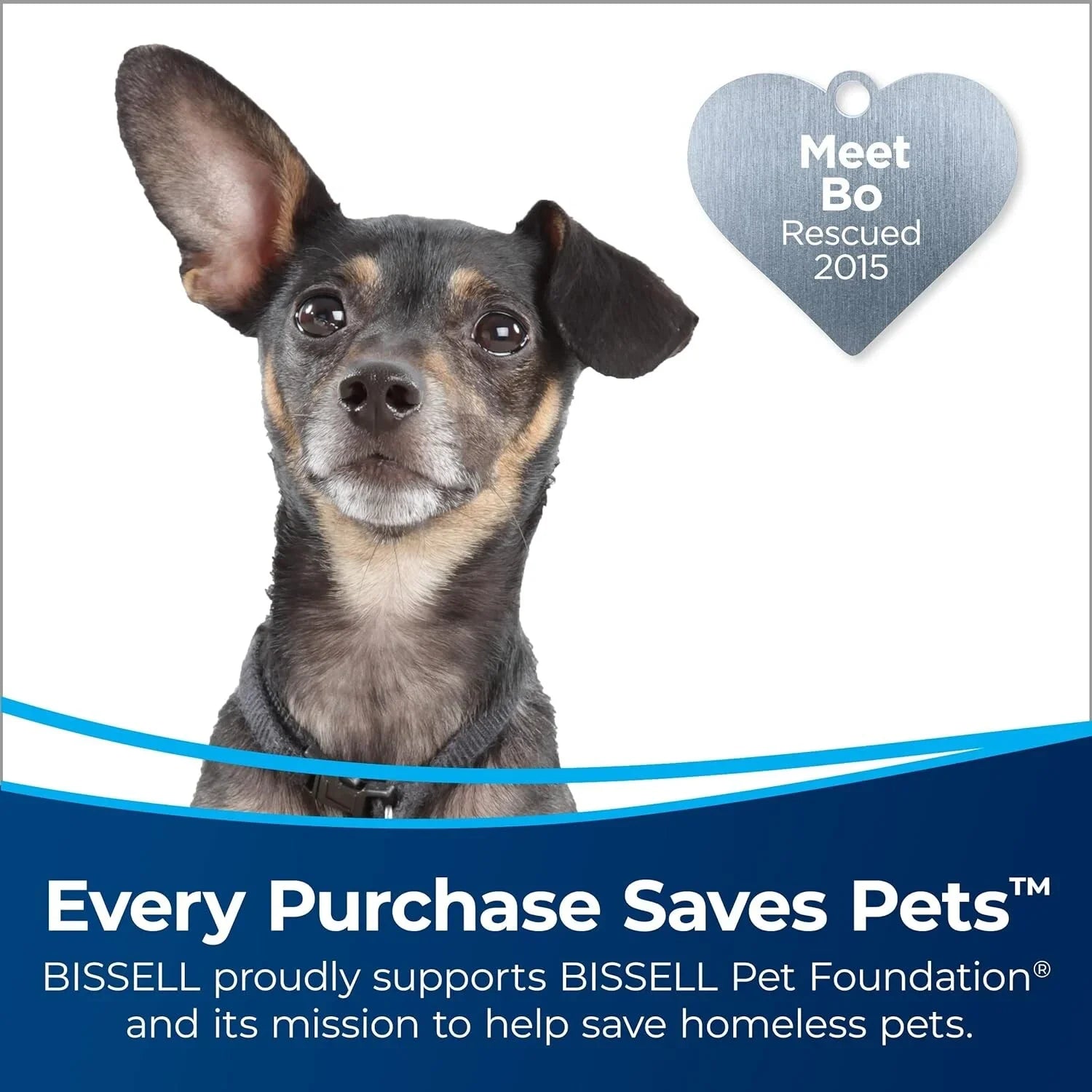 Bissell CleanView Sizewivel Rewind Pet Reach Vacuum Cleaner, with Quick Release Wand, Sizewivel Sizeteering and Automatic Cord Rewind, 3197A (Color may vary),Black