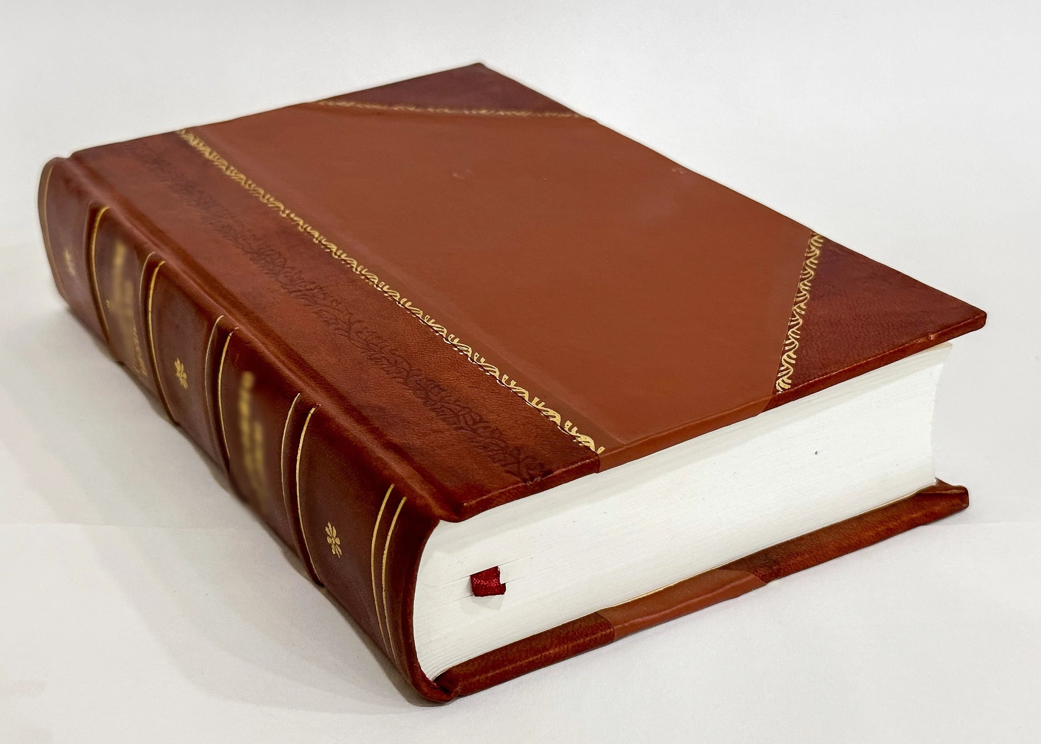 Detectus Ac a Iuco Politico Repurgatus Candor Et Imperium Indefinitum Vastum Et Immensum Rationis Sizetatus Boni Principis Das Ist: Reine Und Unverfalschte Sizetaats-Regul ... / (1678) [Leather Bound]