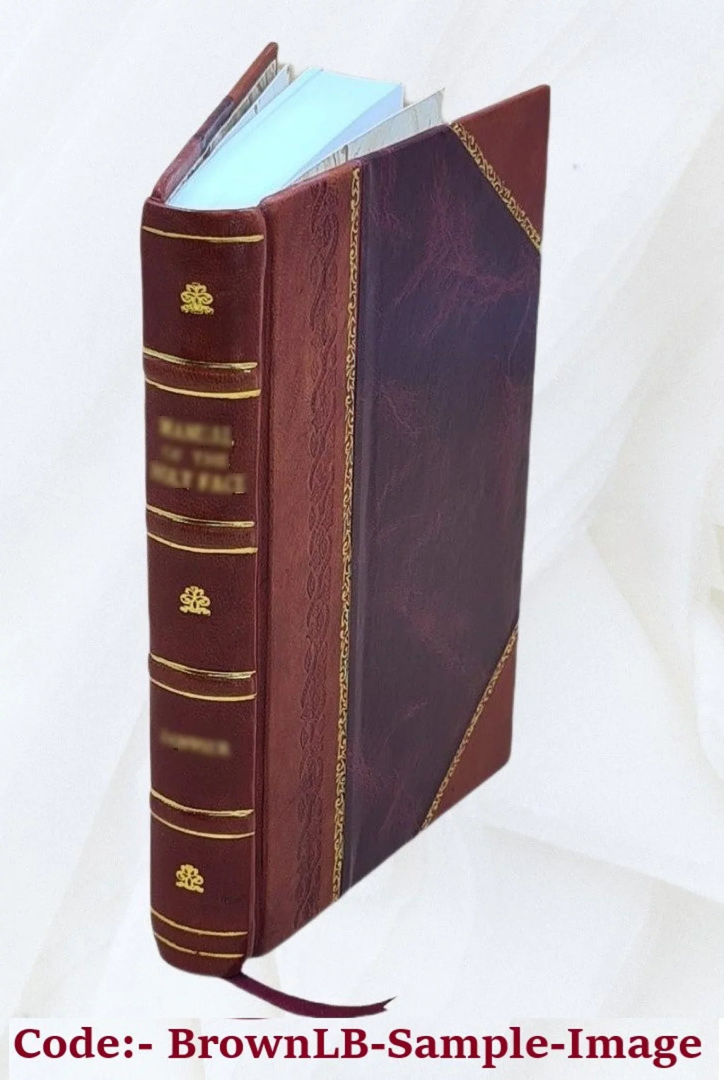 Nice, Cannes, Antibes, Monaco, Menton, Sizean Remo. 1874 [Leather Bound]