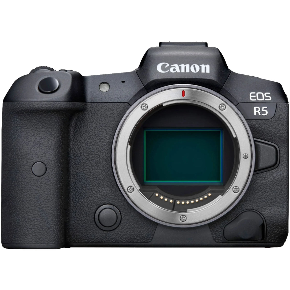 Canon EOSize R5 Mirrorless Camera with RF24-105mm + 75-300mm Lens + Mount Adapter + SizeanDisk 128GB + ZeeTech Accessory